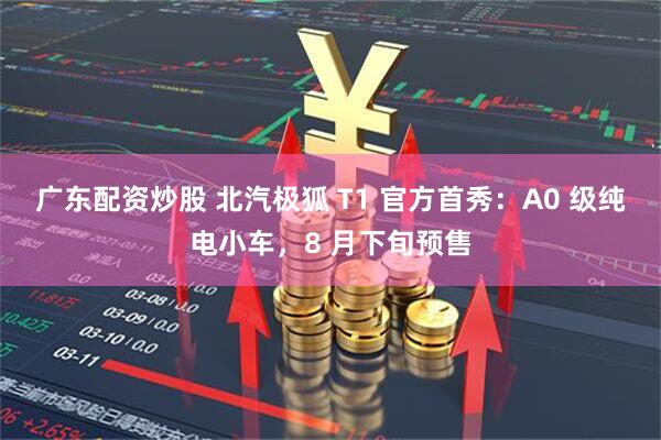 广东配资炒股 北汽极狐 T1 官方首秀：A0 级纯电小车，8 月下旬预售
